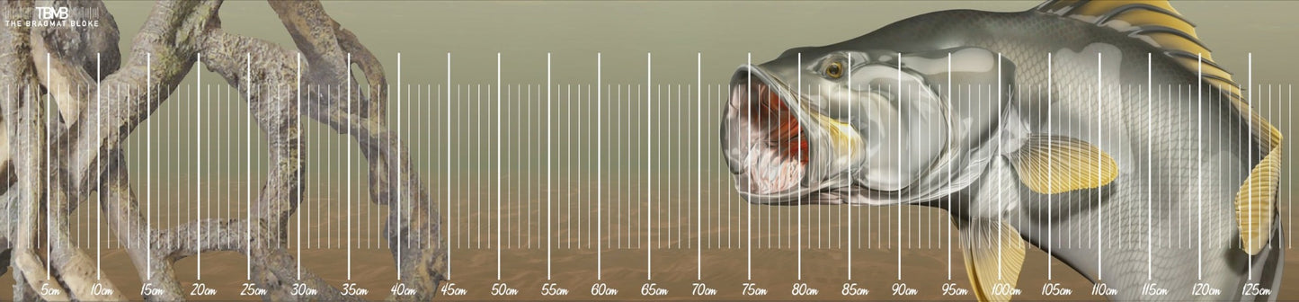 Barramundi Brag Mat